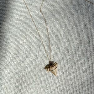 Shark Tooth Necklace